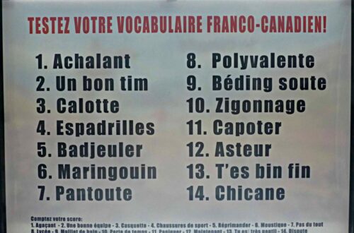 Article : Quand c’est écoeurant, c’est bon… les singularités du français canadien